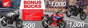 Read more about the article Bonus Bucks