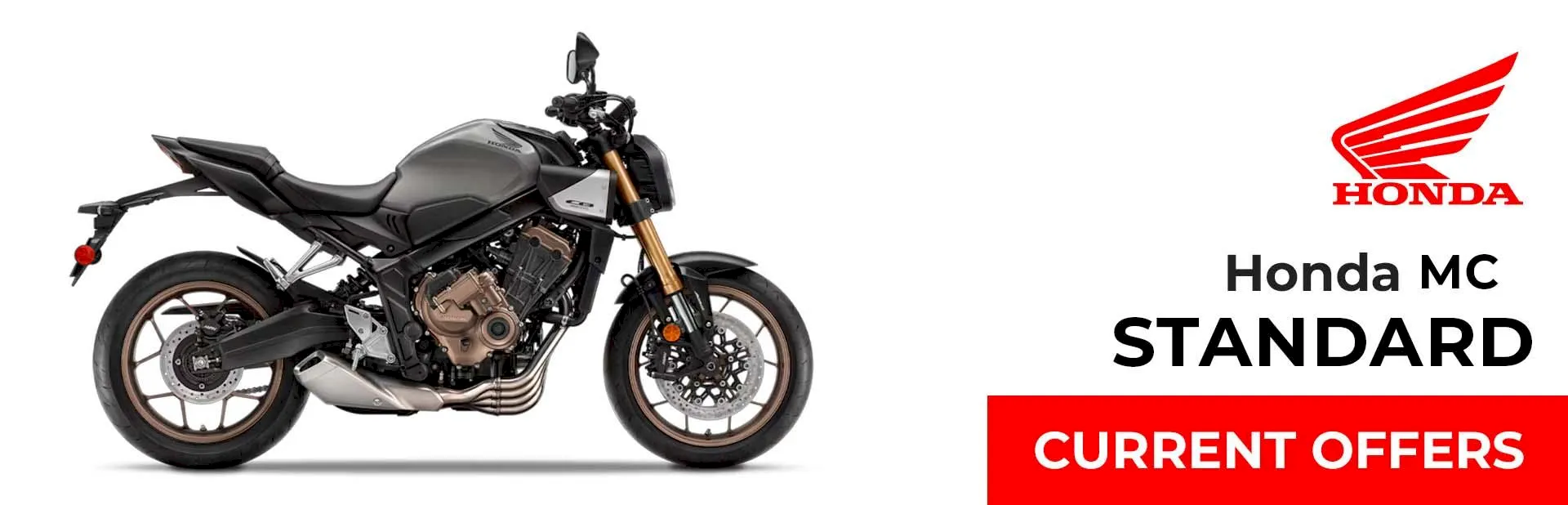 You are currently viewing Standard Motorcycle